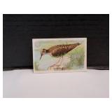 1928 Arm & Hammer Sandpaper Bird Trading Card
