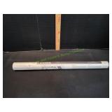 Lizards Color Poster