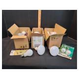 Box of Light Bulbs