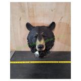 Large Black Bear Wall Art