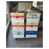 (6) Boxes of Household Items