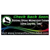 BIDDING OPENS WEDNESDAY, July 22nd at 10PM
