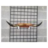 Vtg Longhorn Mounted Steer Horns