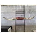 Vtg Texas Longhorn Mounted Steer Horns