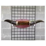 Vtg Steer Horn Wall Mount