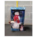 Fiber Optic Snowman