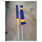 (2) Michigan Go Blue Flags