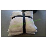 2 Pink W/Green Design Pillows