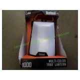 New Multi-Color Lantern