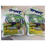 Teenage Mutant Ninja Turtles Kickboard