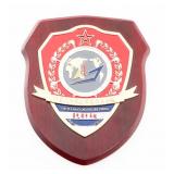 CHINESE PLA NAVY DESTROYER XINING 117 PLAQUE