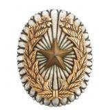 WWII JAPANESE ARMY GENERAL OFFICER BADGE