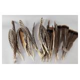 20+/- Turkey Hawk & Other Fly Tying Wing Feathers