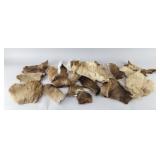 Box of Northern Deer Hide Fly Tying Material