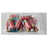 19 Mixed 12ga 2 3/4" Shotgun Shells