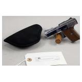 Raven Arms P-25 25 Semi Auto Pistol