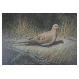 Dennis Schmidtt Ltd Ed S/N Print Morning Dove