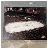 Redwings Canvas Print