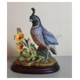 California Quail by Andrea 1983