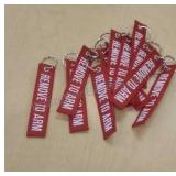 Key chains. Labeled "Remove to Arm". 12 total.