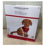 Sealed Lighted Goldendoodle