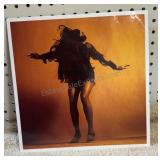 The Last Shadow Puppets LP