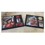 Red Wing Stanley Cup Plaques
