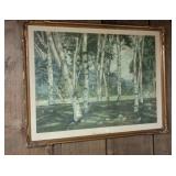 Framed Vintage White Birches in Vermont 26x33