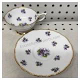 Rotal Stafford Tea Cup & Saucer