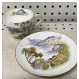 Shelley Tea Cup & Saucer