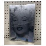 Marilyn Monroe & The Camera