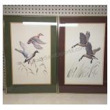 Lithograph Ducks & Geese 16x24