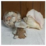Wood & Coral Mushroom  & Assorted Sea Shells