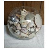 Large Glass Jar of Assorted Sea Shells