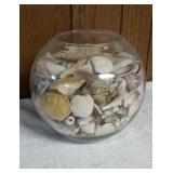 Large Glass Jar of Assorted Sea Shells