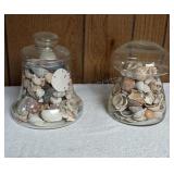 2 Covered Jars of Sea Shells