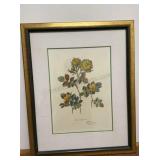 SERRATONI FLOWERS HAND COLORED RESTRIKES OF 18th