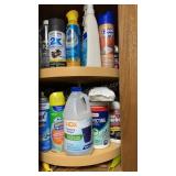 Cleaning Supplies Remaining Contents of Cleaning
