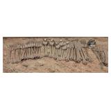 Oneida Community Stainless Cutlery -3 Dinner