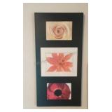 Framed Floral Art 24x12