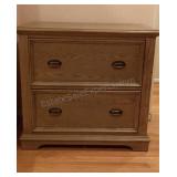 Riverside 2 Drawer Filing Cabinet  31x34x20