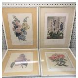 Framed Botanical Flower Prints 15x18