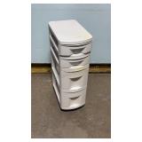 Rolling Storage Container