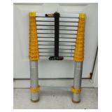 Telescoping Ladder