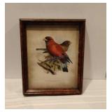 Framed Art Print 12x10