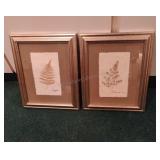 Framed Dried Floral Art 16x13