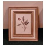 Framed Lisa Audit  Botanical Art 21x18