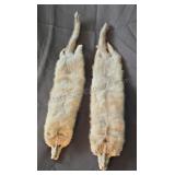 Grey mink pelts. 18in bodies.