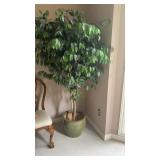 Large Faux Ficus 72 inches tall