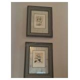 (2) 22x29 Framed floral prints